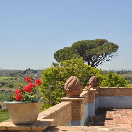 Lägenhet In Vasto/abruzzen 33475